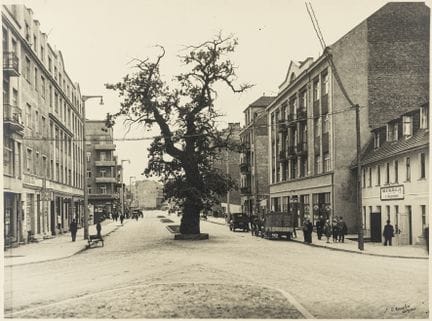 Polonia - Raulin, Ernest. Gdynia. Dodici fotografi