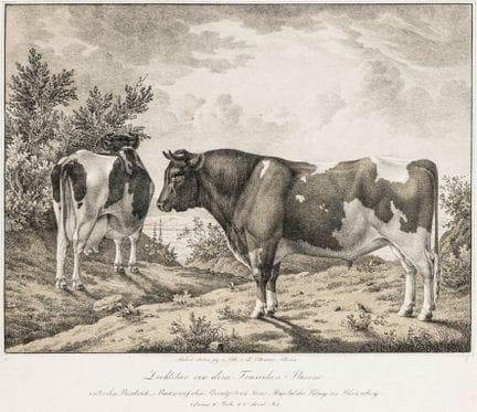 Agricoltura - Weckherlin, August von. Illustrazion