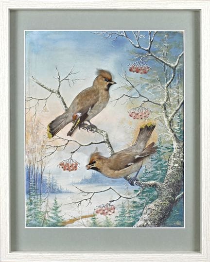 Flora & Fauna - Diorama mit Seidenschwänzen. Deuts