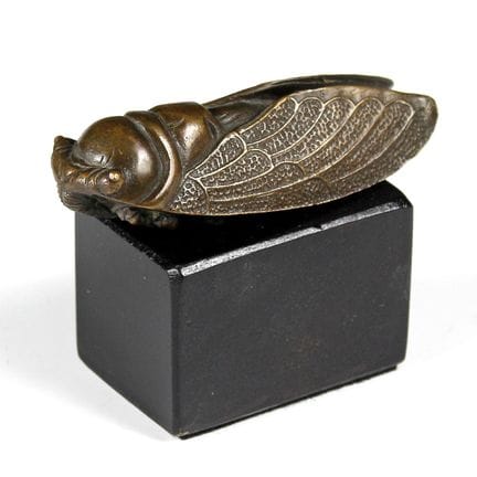 Flora e fauna - Modello di cicala (Cicadae). Bronz