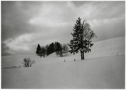 Klemm, Barbara. Südschwarzwald 2005. Original-Phot