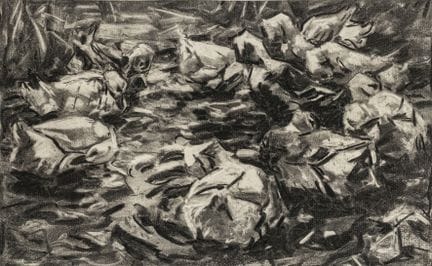 Koester, Alexander. Sin título. (Patos). Carboncil