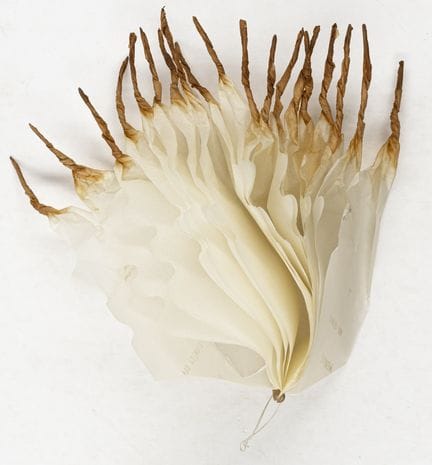 Fluxus - Saito, Takako. Colección de 7 obras sobre