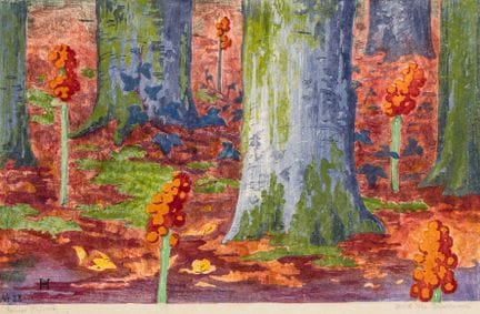 Hahn-Brinckmann, Henriette. Buchenwald con varas d