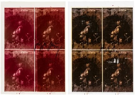 Fluxus - Beuys, Joseph. Hasengrab II. 2 Postkarten