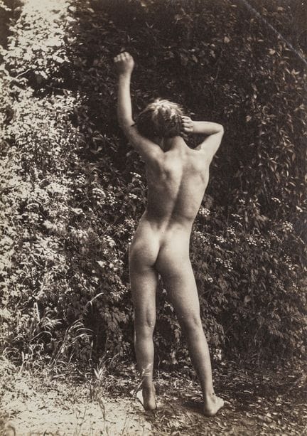Plüschow, Wilhelm. Sammlung von 3 Aktaufnahmen des