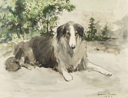 Dill, Otto. Schottischer Schäferhund. (Langhaarcol