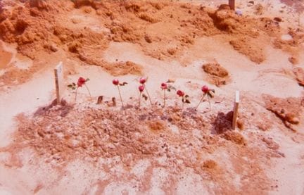 Christenberry, William. Children's grave with rose