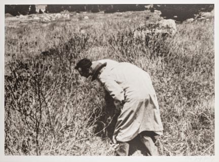 Fluxus - Beuys, Joseph. Botanischer Wahnsinn. Zwei