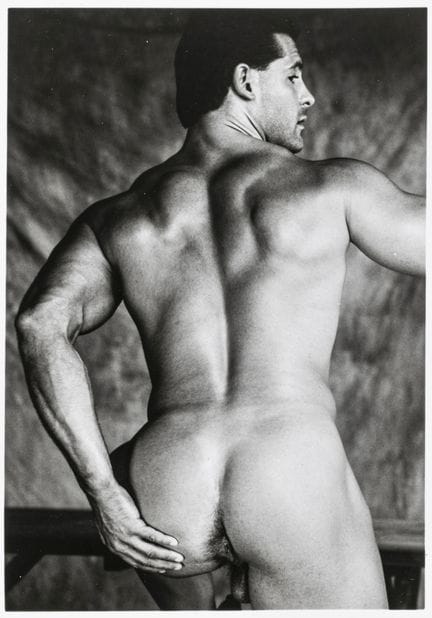 Homosexualität - LGBTQ - Colt Studio. Zehn homoero