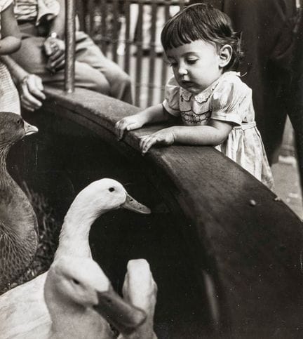 Bubley, Esther. Bronx Zoo, N.Y.C. Girl meets geese