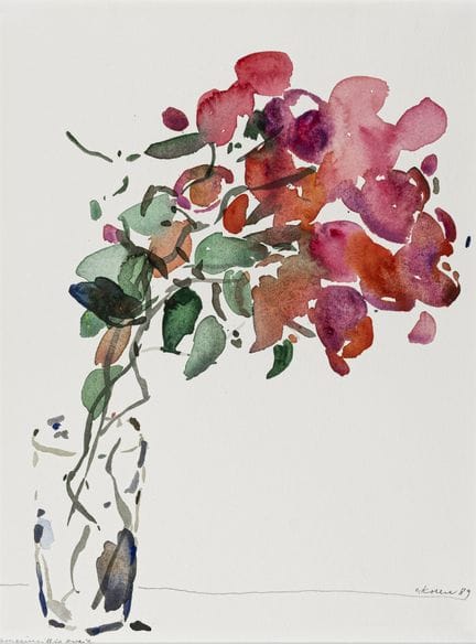 Koller, Oskar. Bougainvillea Zweig. Aquarell auf f