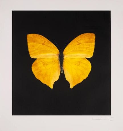 Damien Hirst (b.1965)

The Souls on Jacob's Ladder