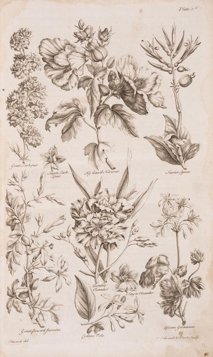Jardinage. — Hale (Thomas) Eden : Ou, un ouvrage c