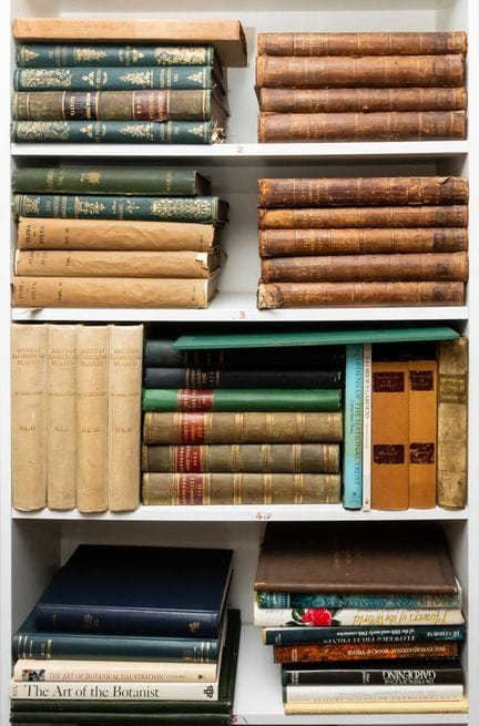Botanique.- Rennie (James, éd.) The Magazine of Bo