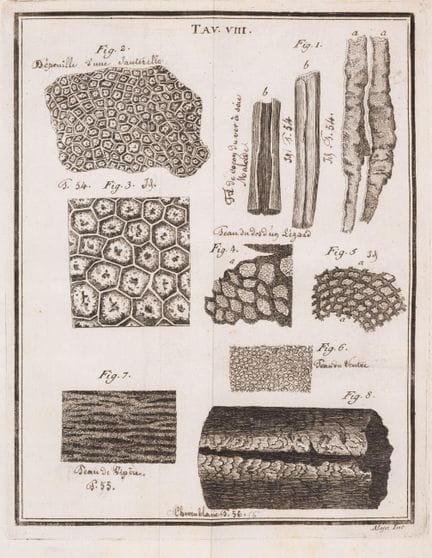 Microscopie. — Della Torre(Giovanni Maria) Nuove O
