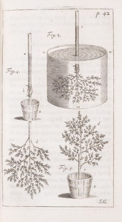 Botanique. — Hales (Stephen), *Vegetable Staticks 
