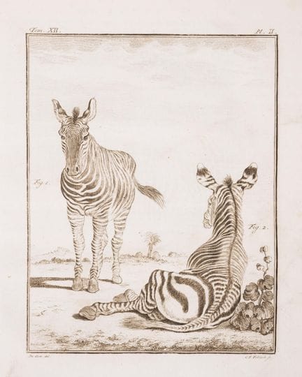 Zoologie. — Buffon (G.L.M.L., comte de) et al. His