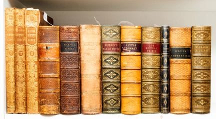 Dickens (Charles) *La Vie et les aventures de Nich
