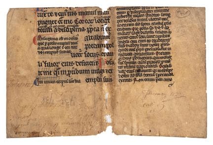 Moitié inférieure d’une feuille tirée d’un grand p