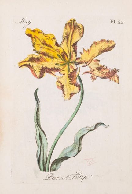 Botanica. – Sayer (Robert, editore) *The Florist*,