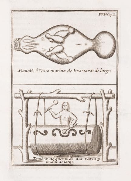 Amérique du Sud. — Gumilla (José), *El Orinoco Ilu