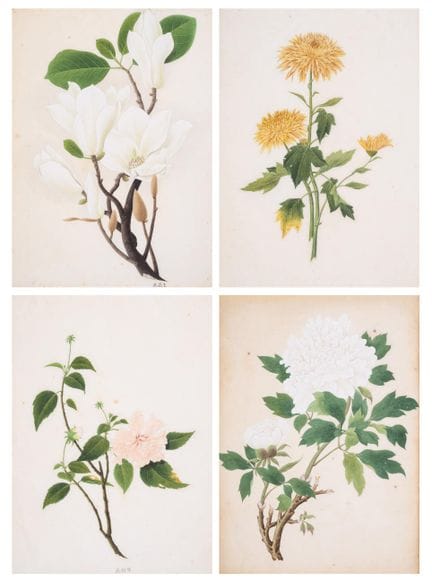 Chine. – École chinoise (XIXe siècle). Quatorze ét