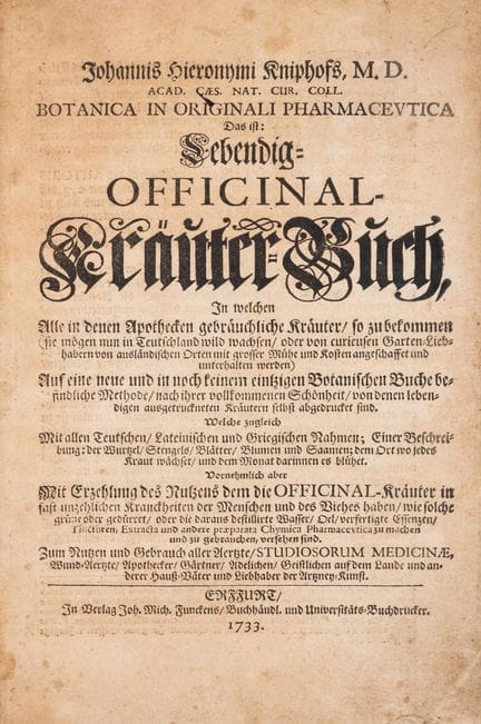 Botanica. - Stampe naturalistiche. - Kniphof (Joha