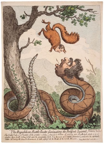Gillray (James) «La serpiente de cascabel republic