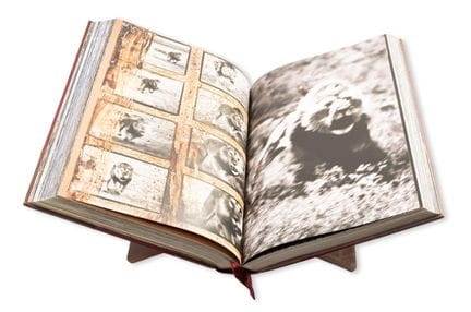 Beard (Peter) Peter Beard, uno de los 2.500 ejempl