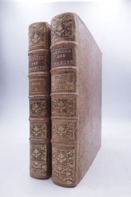 热罗姆，艾蒂安-路易。《昆虫简史》。

巴黎，杜兰出版社，1764年。
四开本（25 x 19 厘米