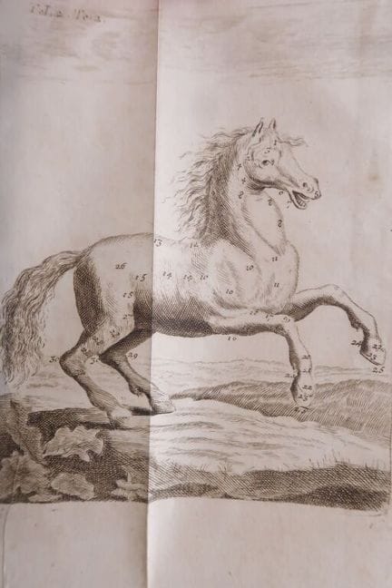 SOLLEYSEL, Jacques de. Le Parfait Marechal.

París
