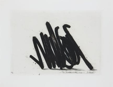 VENET Bernar (nato nel 1941)
Due linee indefinite
