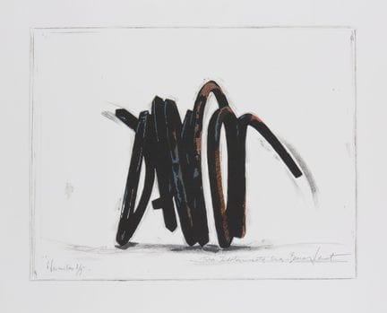 VENET Bernar (nato nel 1941)
Due linee indefinite,