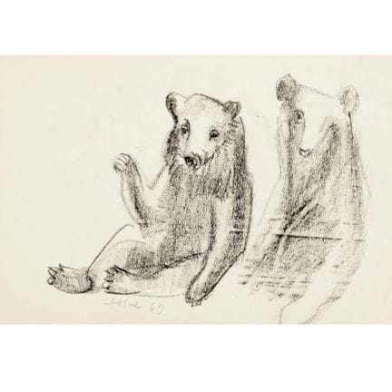 Dessin au fusain sur papier, OURS (1969), signé et