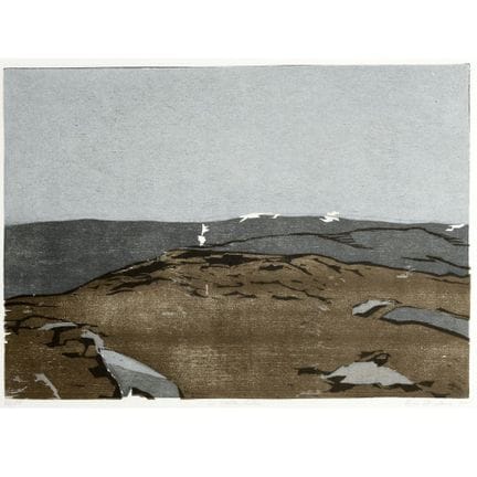 Au total, 10 illustrations différentes, cadeaux an