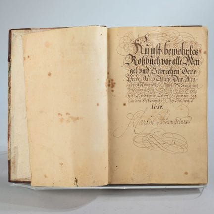 AN ARTISTICALLY ENRICHED HORSE BOOK ABOVE ALL QUAN