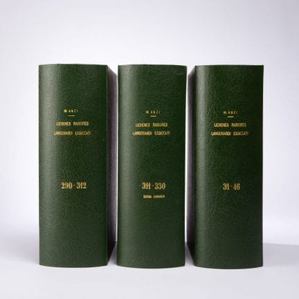 硬纸板、书形礼盒，绿色半亚麻布封面，标题“M. ANZI”以金箔压印， LICHENES RARIO