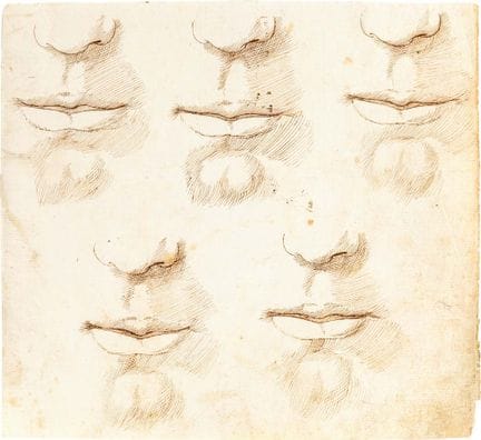 18世纪罗马画派，嘴和鼻子的习作。纸本水墨，190 × 210 毫米。