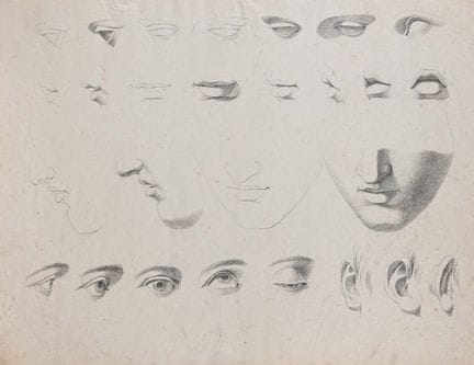 意大利画派，19世纪上半叶。《解剖研究》。纸本铅笔画，360 × 450 毫米。