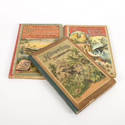 3x Schubert's Naturgeschichte 
 

 "Zum Anschauung