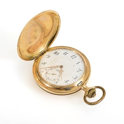 Golden Savonette.  

 
 

Case number: 483311. Mov