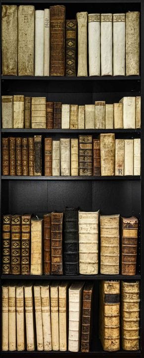 Barocke Gelehrtenbibliothek 17./18. Jahrhundert 

