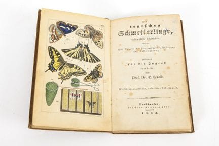 HEROLD,  E  
 

 
"Die teutschen Schmetterlinge sy
