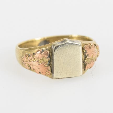 Ring mit Wappenkartusche für Gravuren und Eichenla