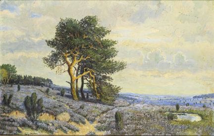 签名模糊：盛开的荒原风景 
 

 油画/画布。右下角有缩写签名，左下角有模糊的附加文字。 
 

