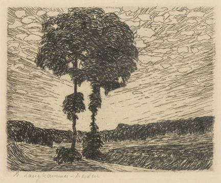 LANGKAMMER,  Eva (1888 - 1956)  
 

 
Paysage arbo