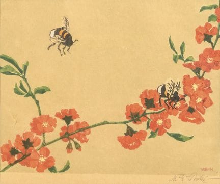 MEPH,  Martin Erich Philipp (1887 - 1978)  
 

 
C