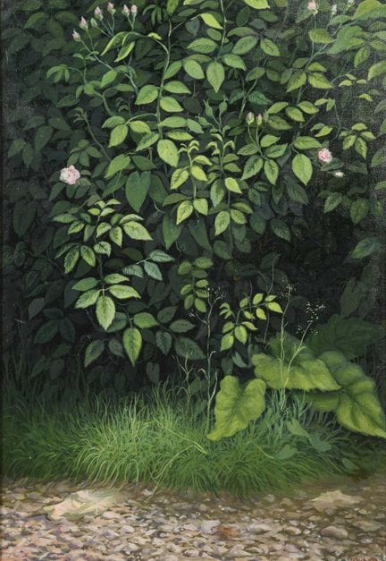 萨利赫贝戈维奇（SALIHBEGOVIC，1948年出生于日维尼采）  
 

 
绿篱 
 

 