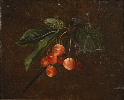 匿名，   
 

 
带樱桃的树枝 
 

 油画/亚麻布。19世纪。 
 

 22 x 25.